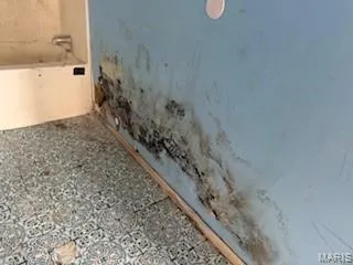 $80,000 | 401 Julie Court, Foley, MO 63347