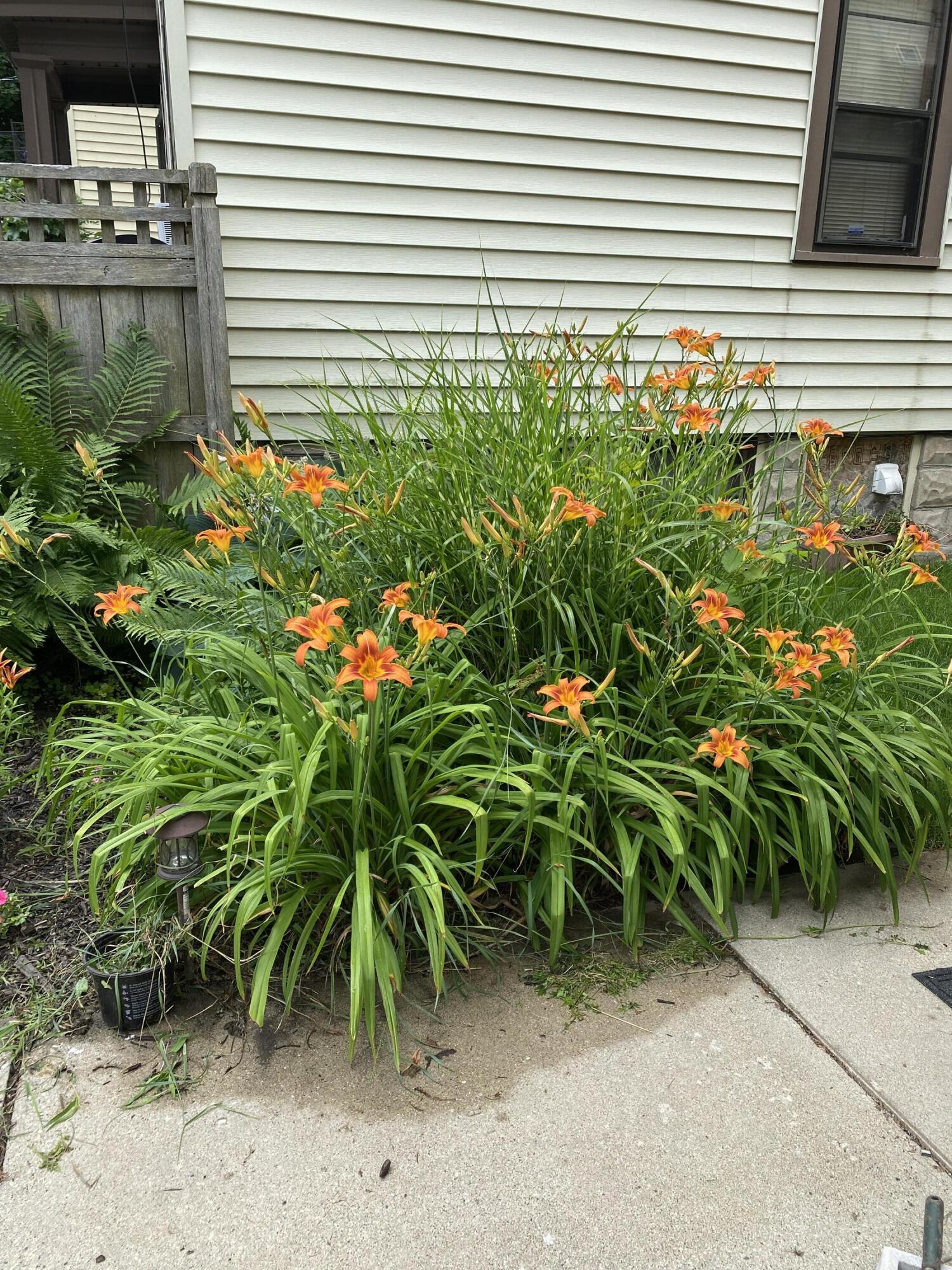 2640 North 48th Street Milwaukee, WI 53210 - Photo 29 of 38 IMG_6223