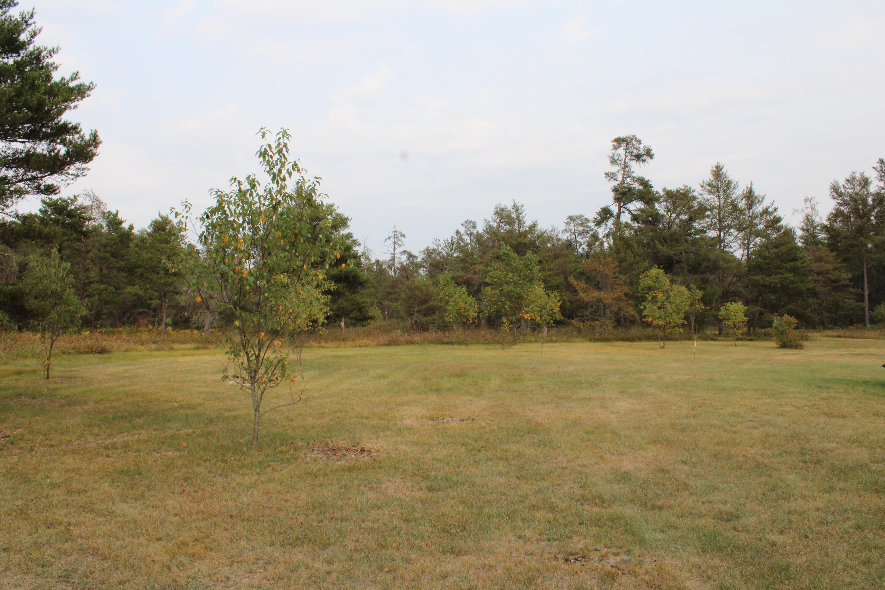 6396 Lovells Road Grayling, MI 49738 - Photo 19 of 26 IMG_3620