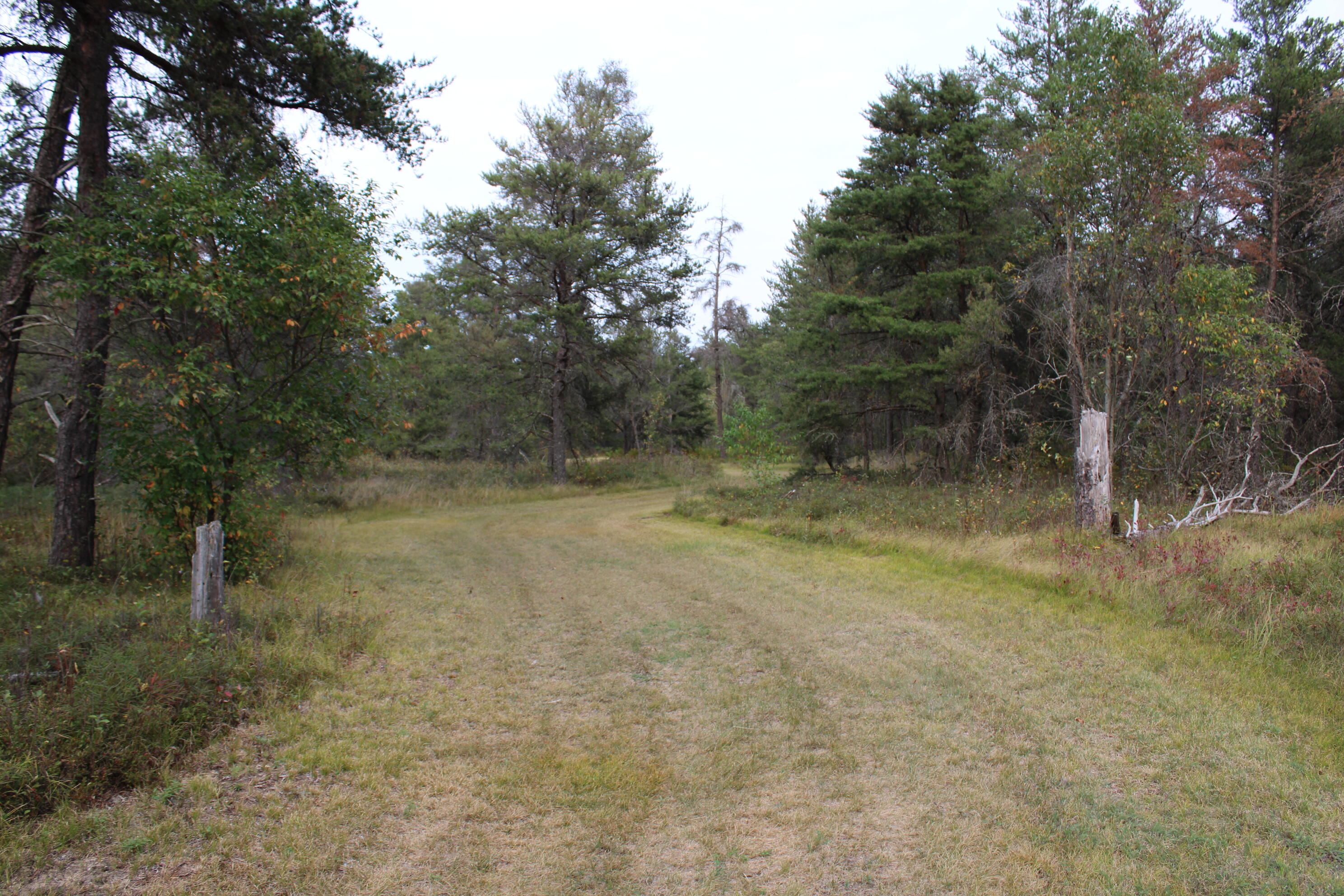 6396 Lovells Road Grayling, MI 49738 - Photo 20 of 26 IMG_3622