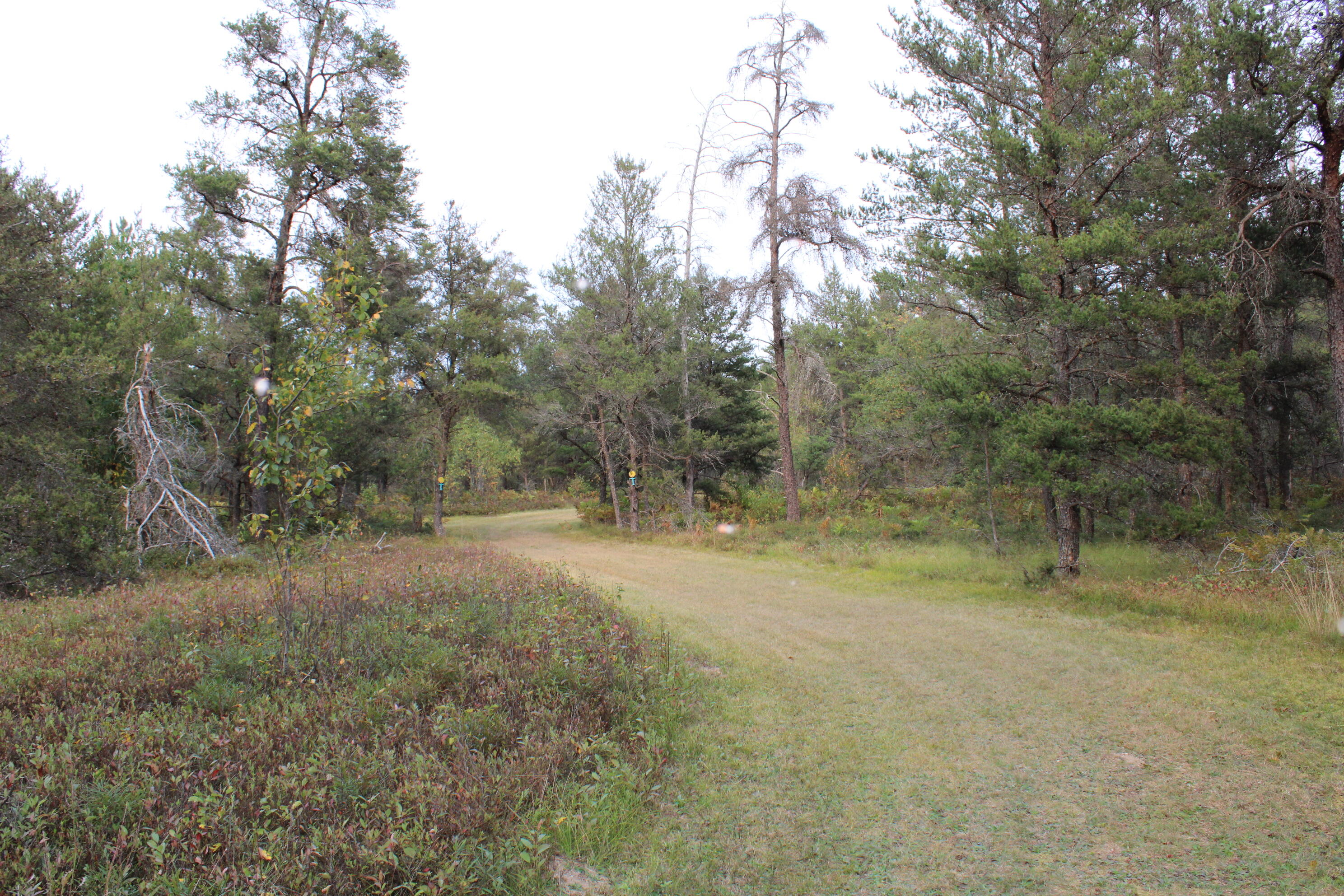 6396 Lovells Road Grayling, MI 49738 - Photo 21 of 26 IMG_3623