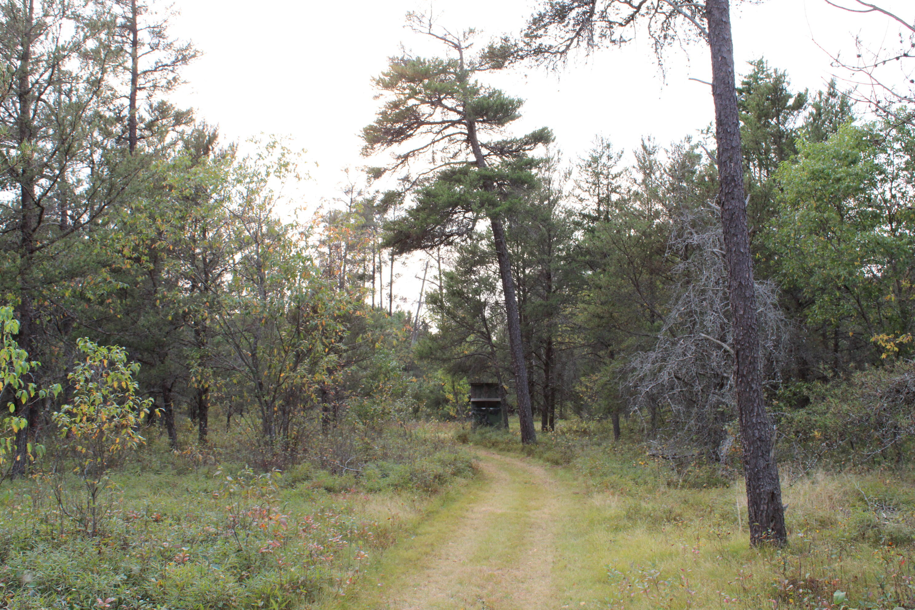 6396 Lovells Road Grayling, MI 49738 - Photo 24 of 26 IMG_3631