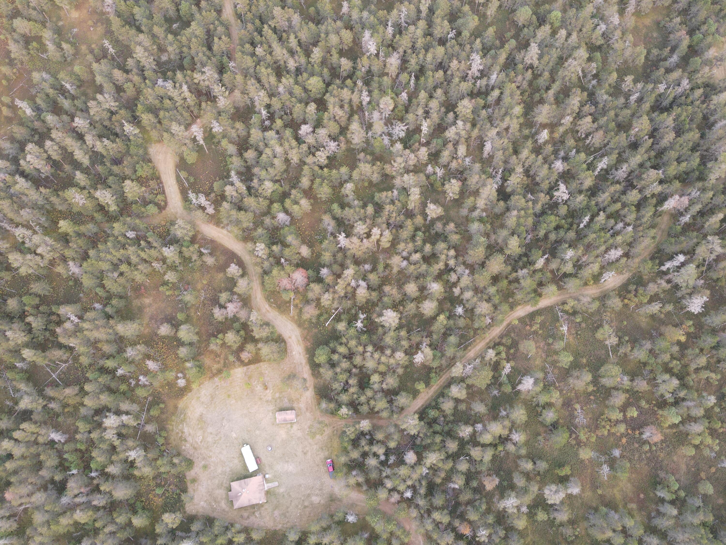 6396 Lovells Road Grayling, MI 49738 - Photo 8 of 26 DJI_0617