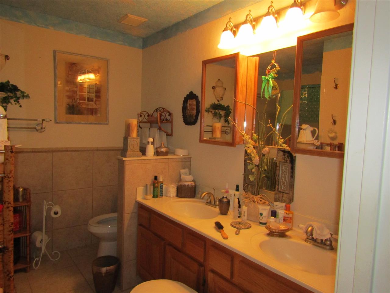 2873 Avenida Alberto Lillian, AL 36549 - Photo 21 of 35 Master Bath