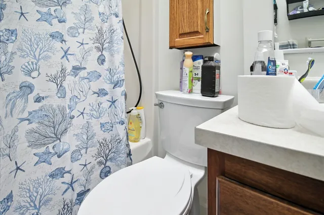 a bathroom with a sink and a toilet