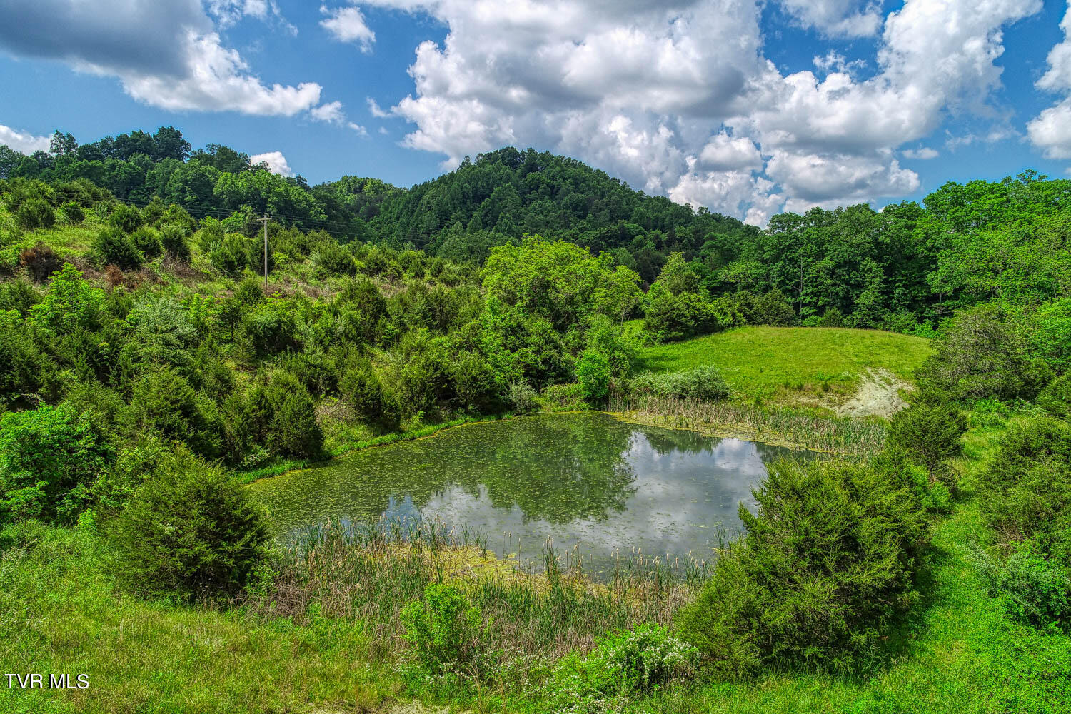 555 Little Pumpkin Valley Road Eidson, TN 37731 - Photo 1 of 48 555 Pumpkin Vally. Eidson MLSa (1 of 50