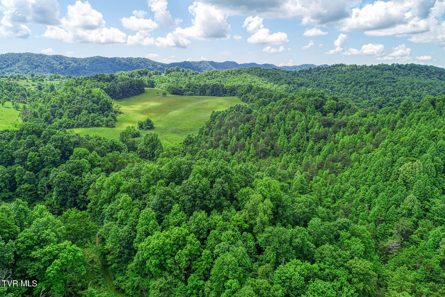 555 Little Pumpkin Valley Road Eidson, TN 37731 - Photo 14 of 48 555 Pumpkin Vally. Eidson MLSa (36 of 5