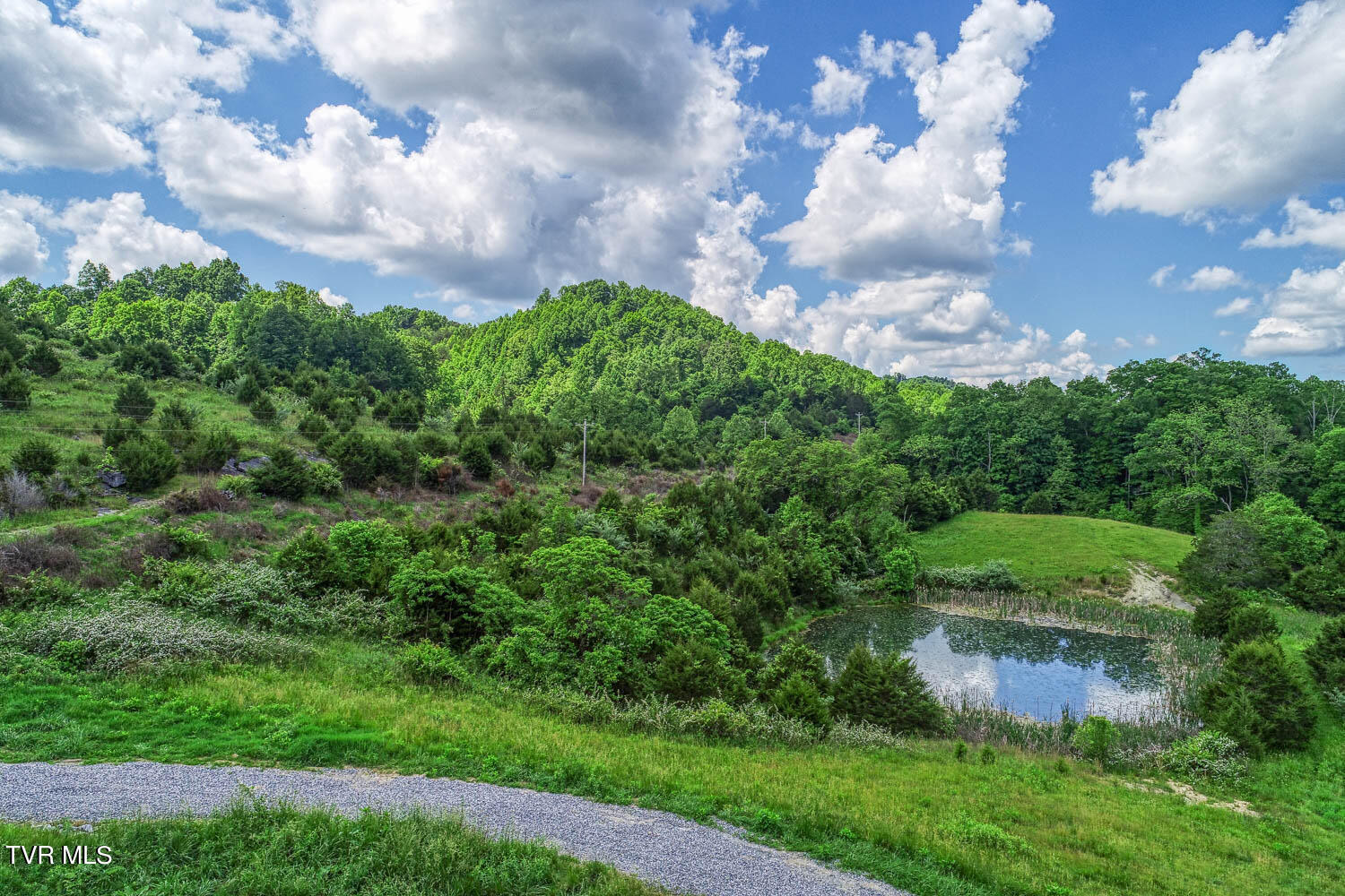 555 Little Pumpkin Valley Road Eidson, TN 37731 - Photo 21 of 48 555 Pumpkin Vally. Eidson MLSa (29 of 5