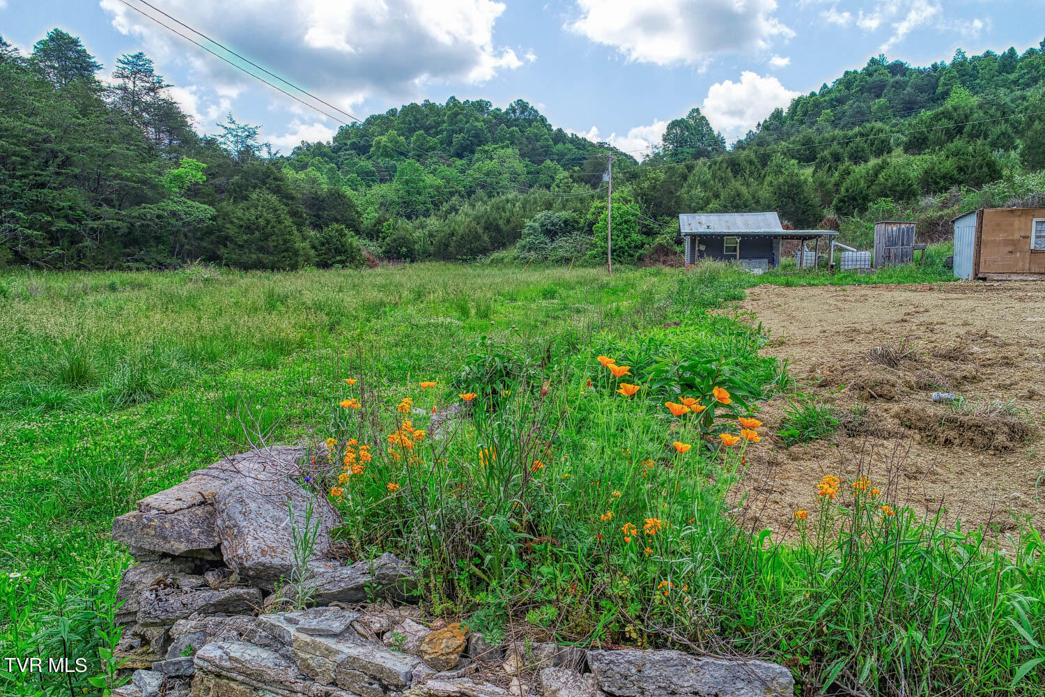 555 Little Pumpkin Valley Road Eidson, TN 37731 - Photo 27 of 48 555 Pumpkin Vally. Eidson MLSa (23 of 5