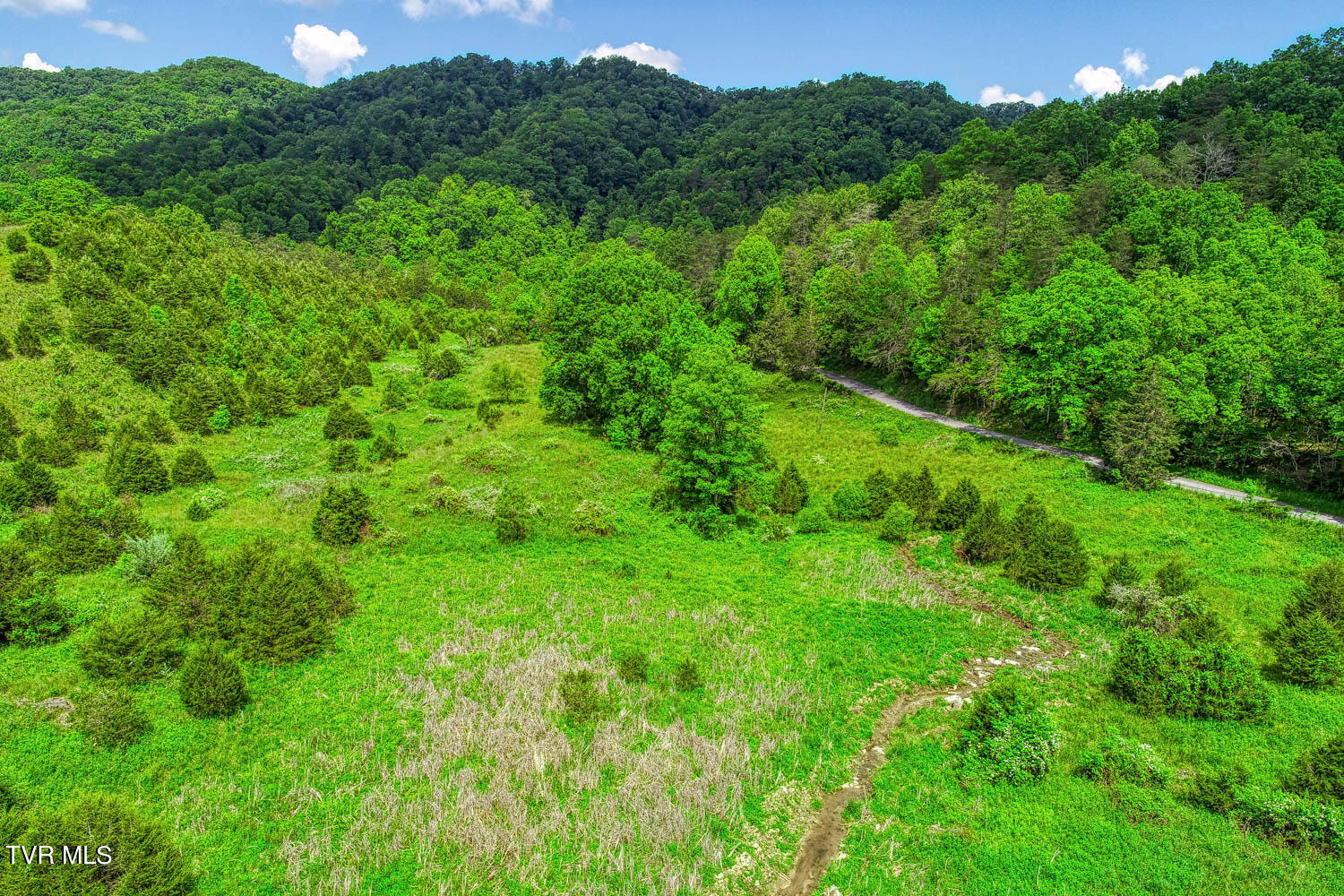 555 Little Pumpkin Valley Road Eidson, TN 37731 - Photo 46 of 48 555 Pumpkin Vally. Eidson MLSa (4 of 50