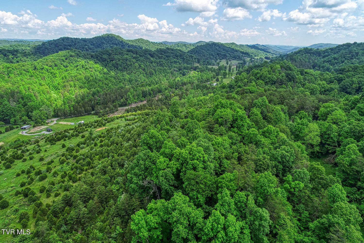 555 Little Pumpkin Valley Road Eidson, TN 37731 - Photo 10 of 48 555 Pumpkin Vally. Eidson MLSa (40 of 5