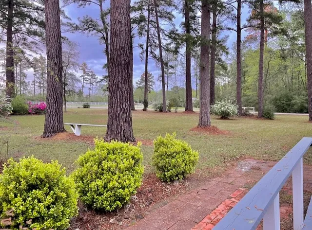 a view of a garden with a tree