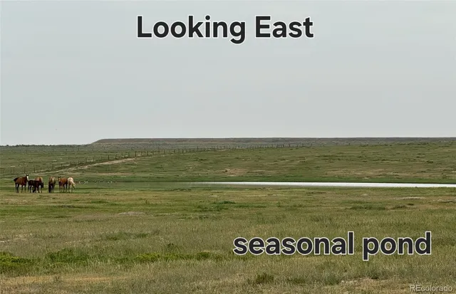 a view of ocean view