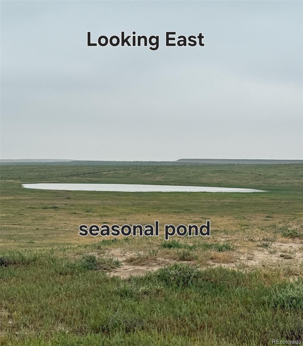 96 County Road Grand Lake, CO 80447 - Photo 3 of 5 a view of an ocean