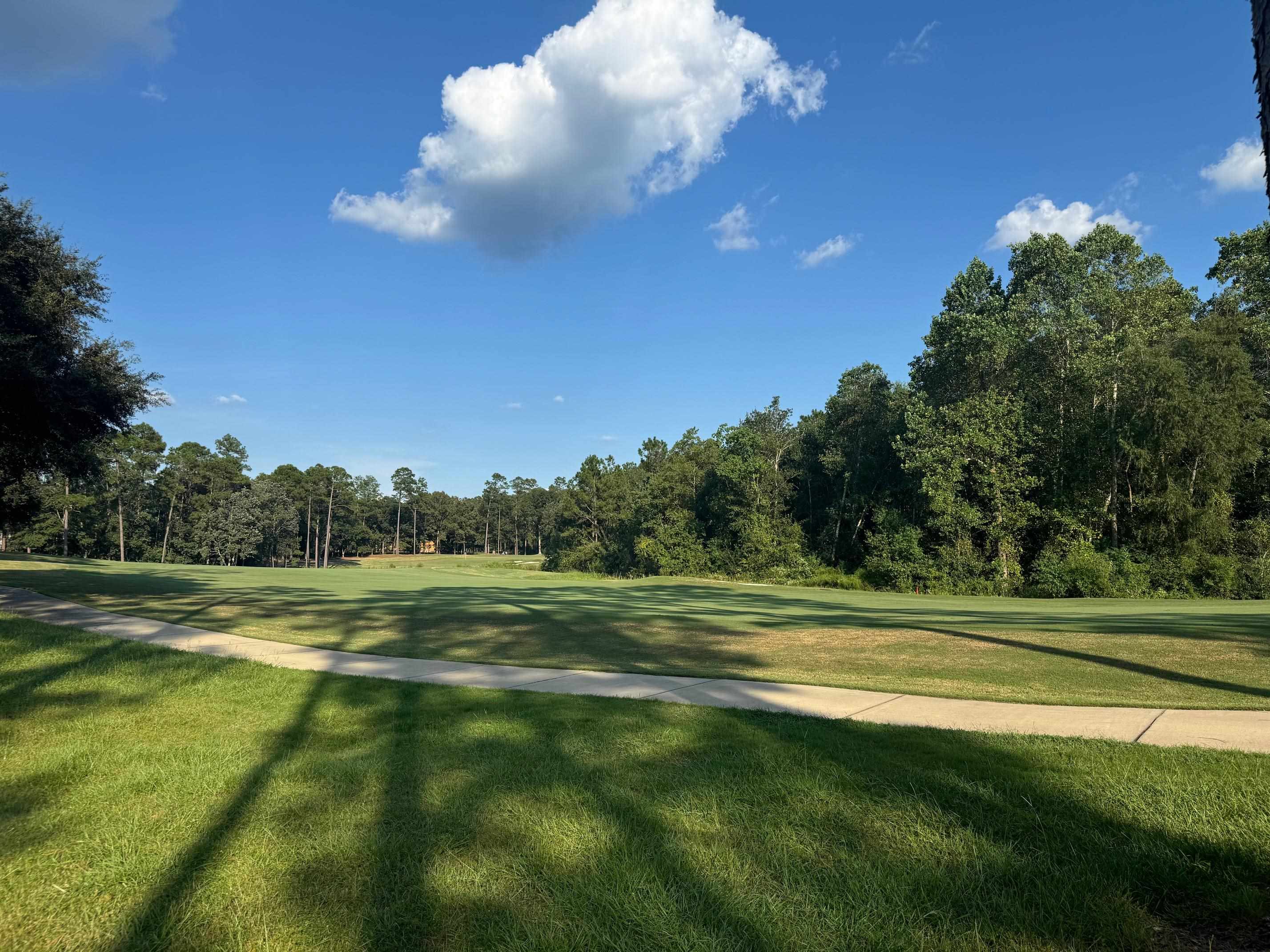 10 Muirfield Court Loxley, AL 36551 - Photo 4 of 8 Community
