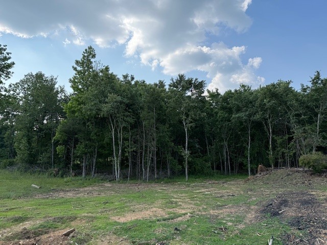 0 Roy Foster Road Smithville, TN 37166 - Photo 5 of 12 Gallery Image 5