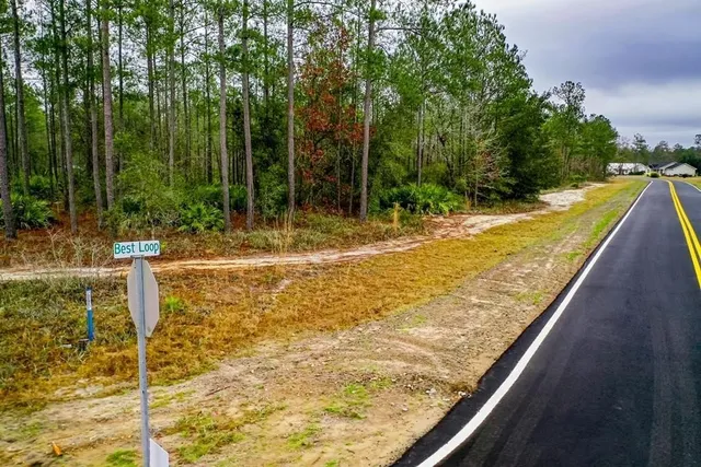 $29,000 | Lot 60 Best Loop, Hortense, GA 31543