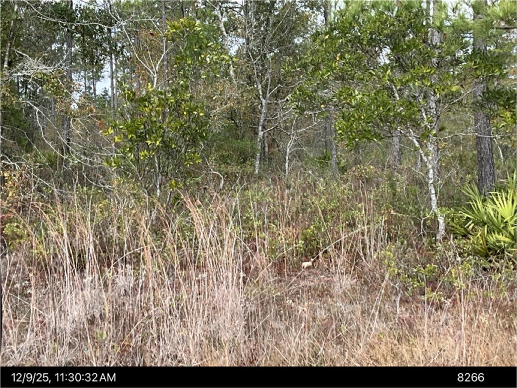 Lot 60 Best Loop Hortense, GA 31543 - Photo 2 of 3