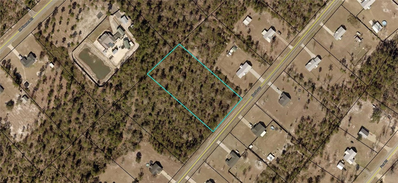 Lot 60 Best Loop Hortense, GA 31543 - Photo 3 of 3