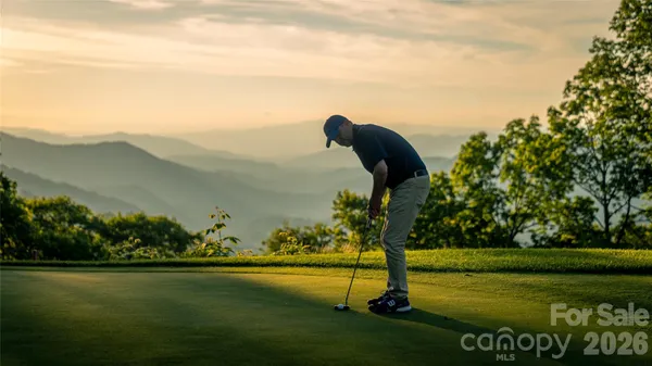 a view of a park with large trees