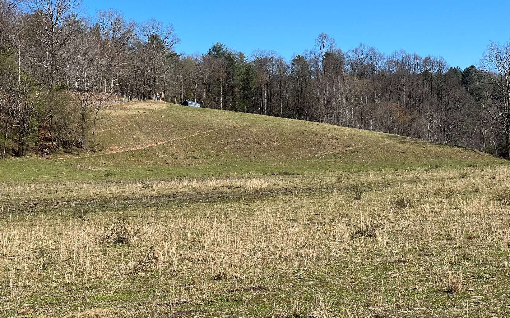 Watkins Road Blue Ridge, GA 30513 - Photo 1 of 4 Main View
