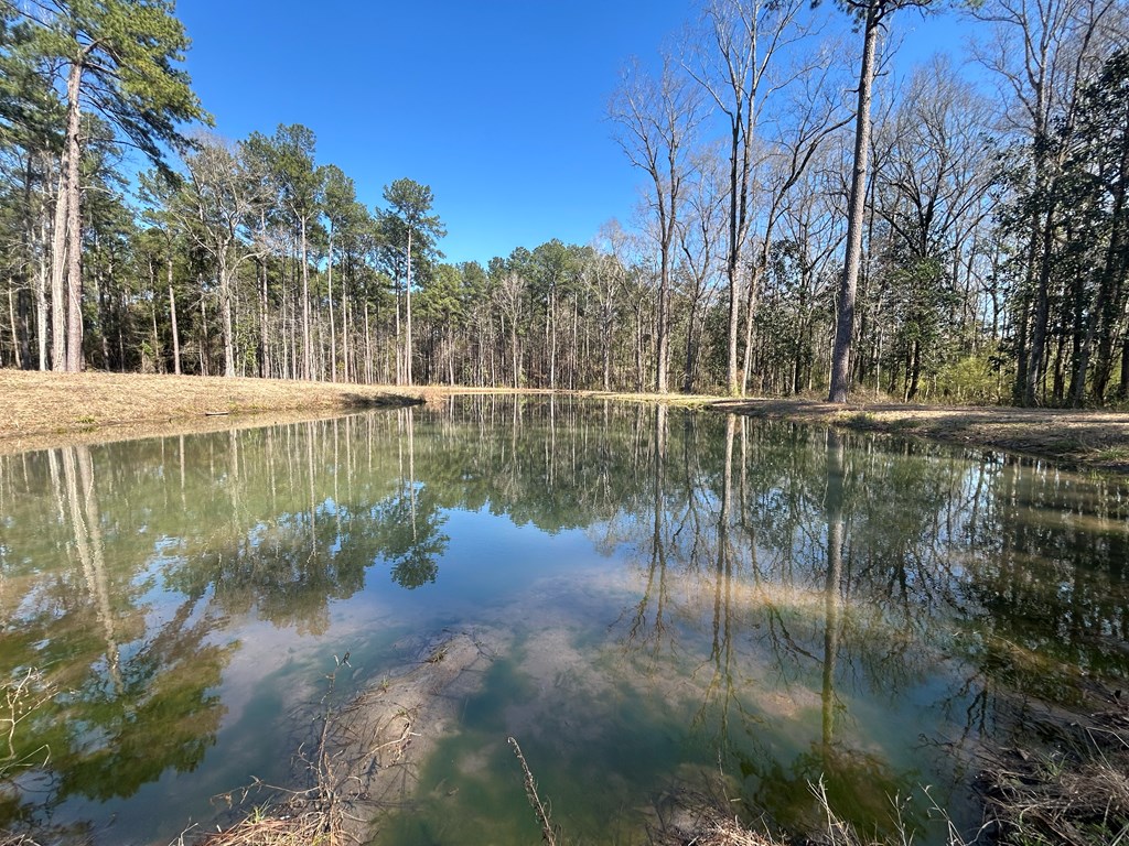 15-ac Webb Road Dothan, AL 36301 - Photo 29 of 33