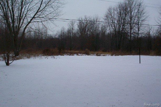 25438 Sumpter Road Belleville, MI 48111 - Photo 4 of 13 4.4 Acres