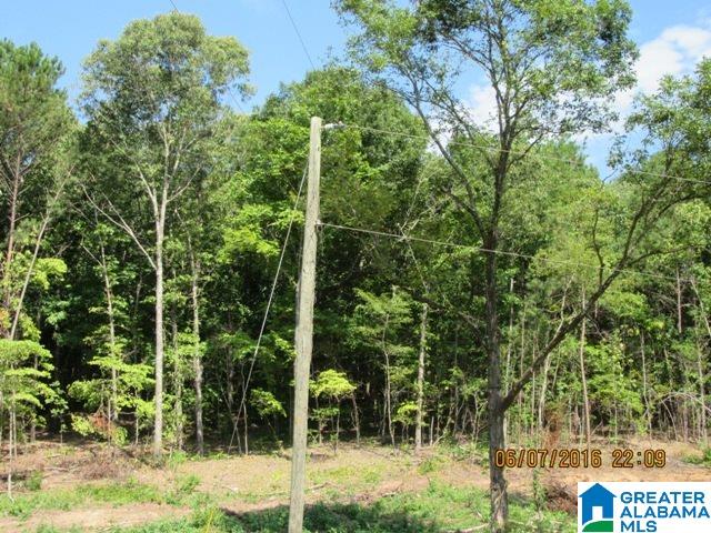 550 Davis Acres Drive, Unit 15 Alpine, AL 35014 - Photo 36 of 48