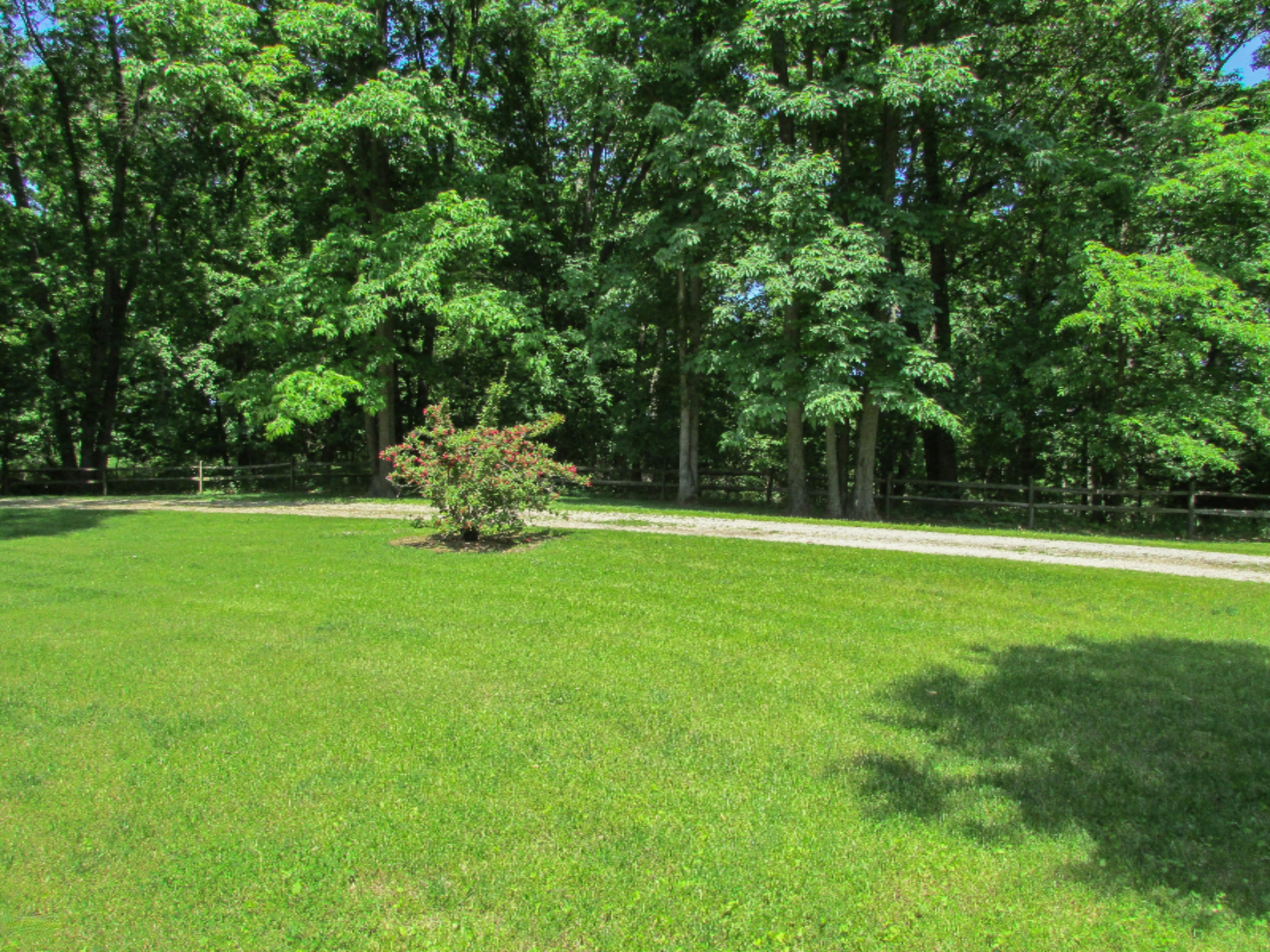 728 Whipple Road Bronson, MI 49028 - Photo 34 of 36 IMG_8662