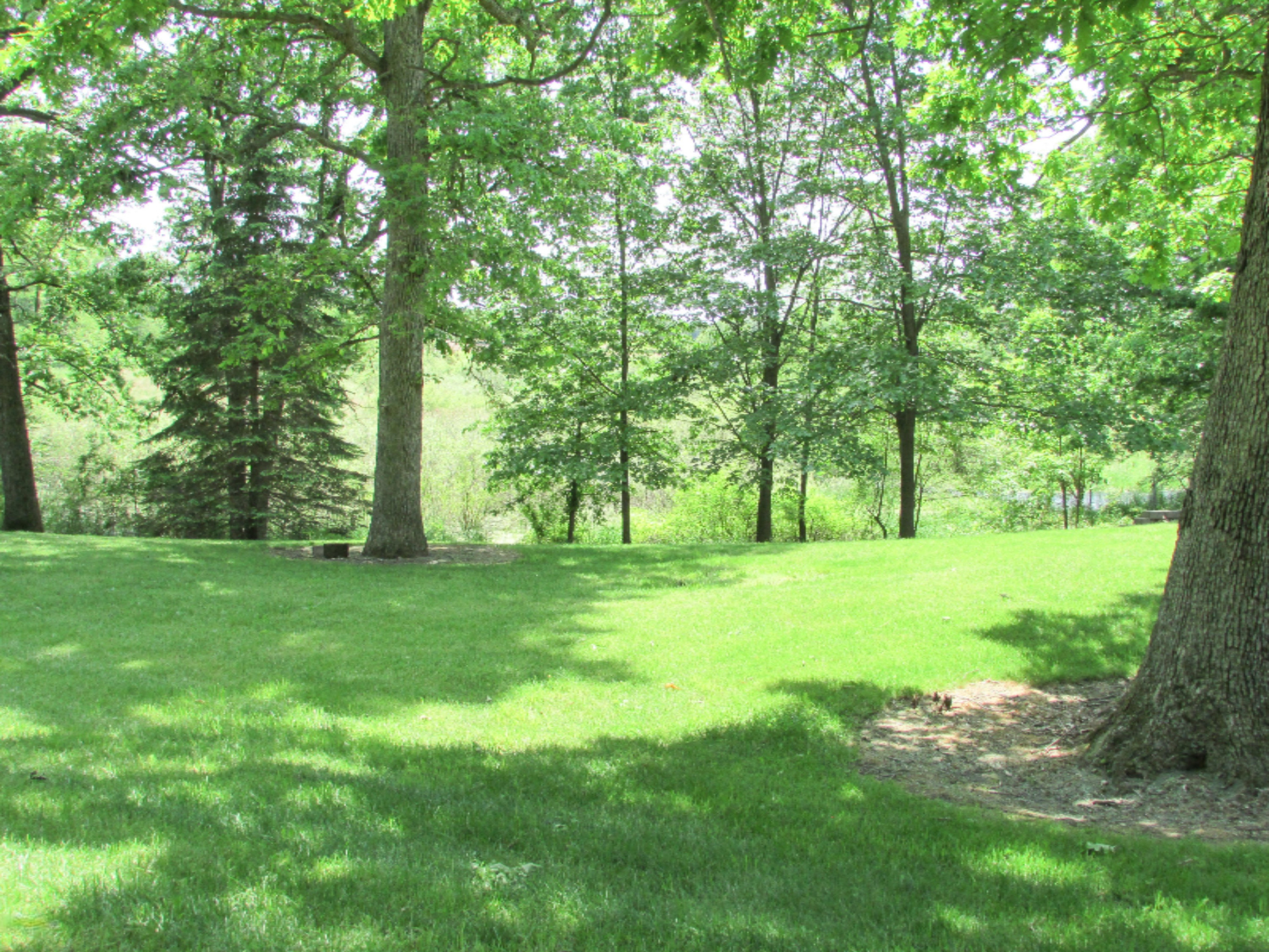 728 Whipple Road Bronson, MI 49028 - Photo 36 of 36 IMG_8664