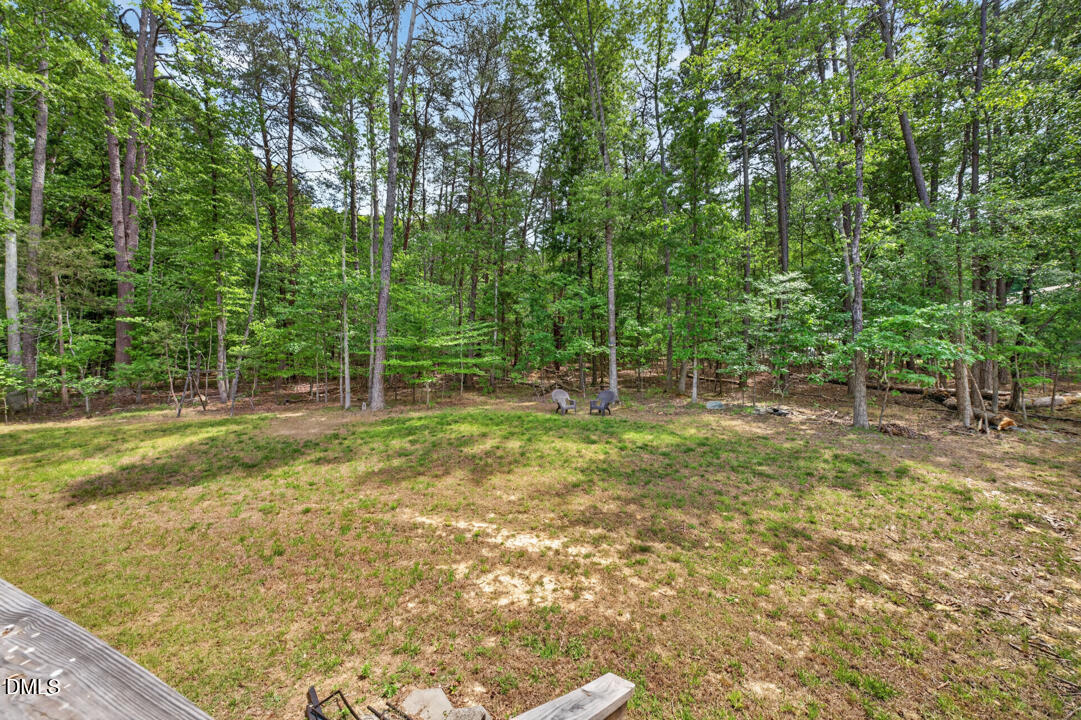 184 Fire Tower Drive Rougemont, NC 27572 - Photo 33 of 41