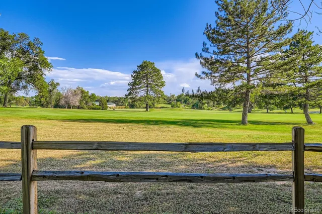 a view of a park with large trees