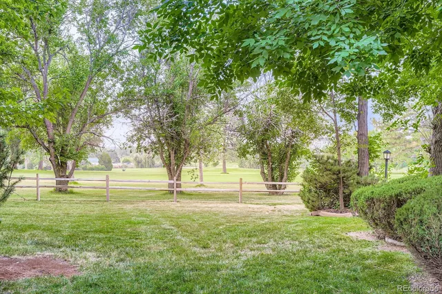 a big yard with swimming pool and large trees