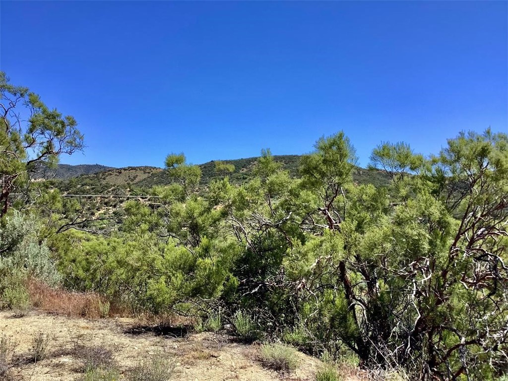 0 Burnt Valley Road Anza, CA 92539 - Photo 11 of 17