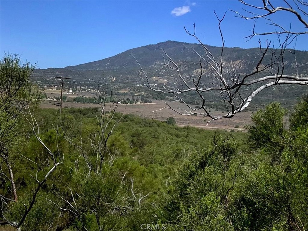0 Burnt Valley Road Anza, CA 92539 - Photo 12 of 17 View to Thomas Mtn.
