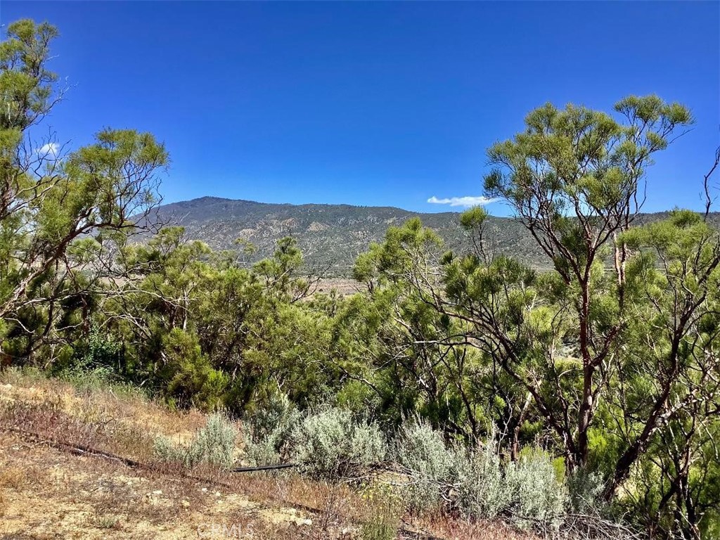 0 Burnt Valley Road Anza, CA 92539 - Photo 15 of 17