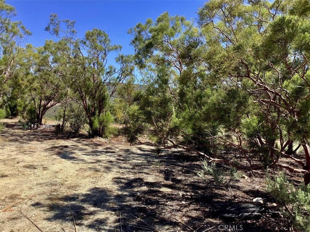0 Burnt Valley Road Anza, CA 92539 - Photo 7 of 17 Pad