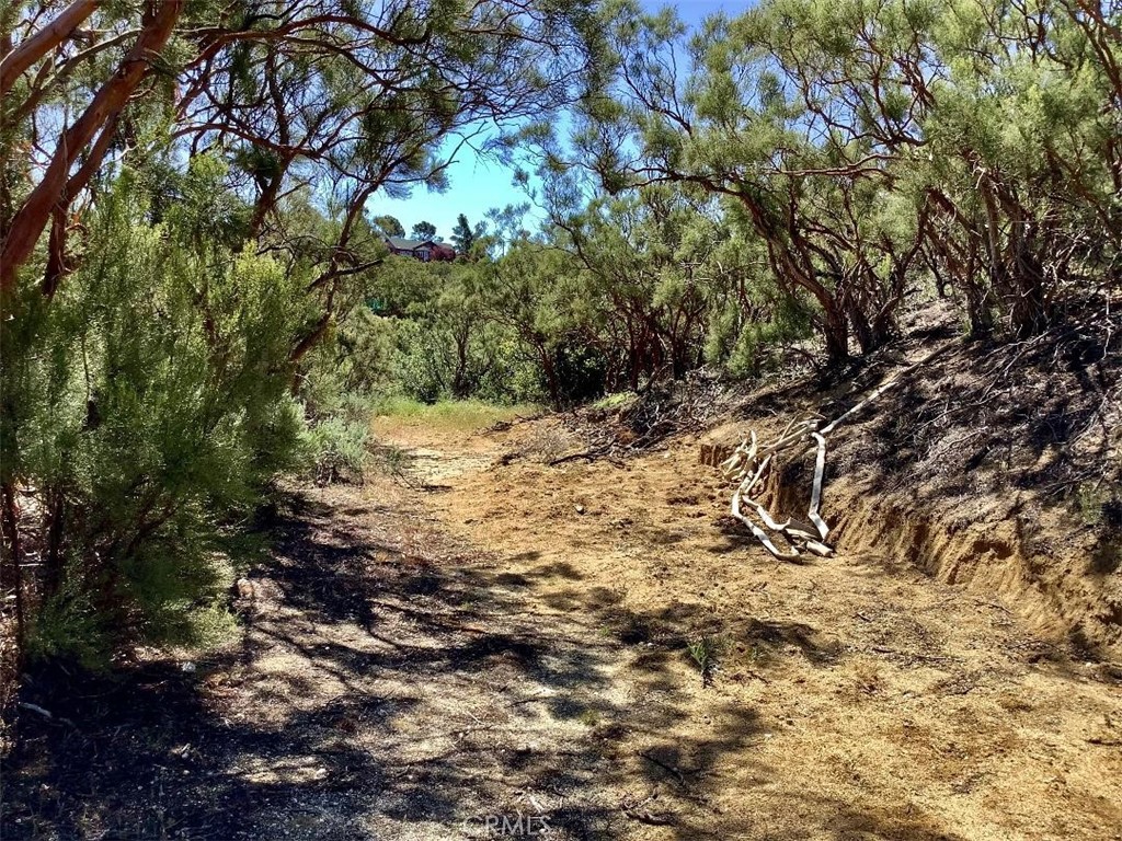 0 Burnt Valley Road Anza, CA 92539 - Photo 8 of 17 Pad