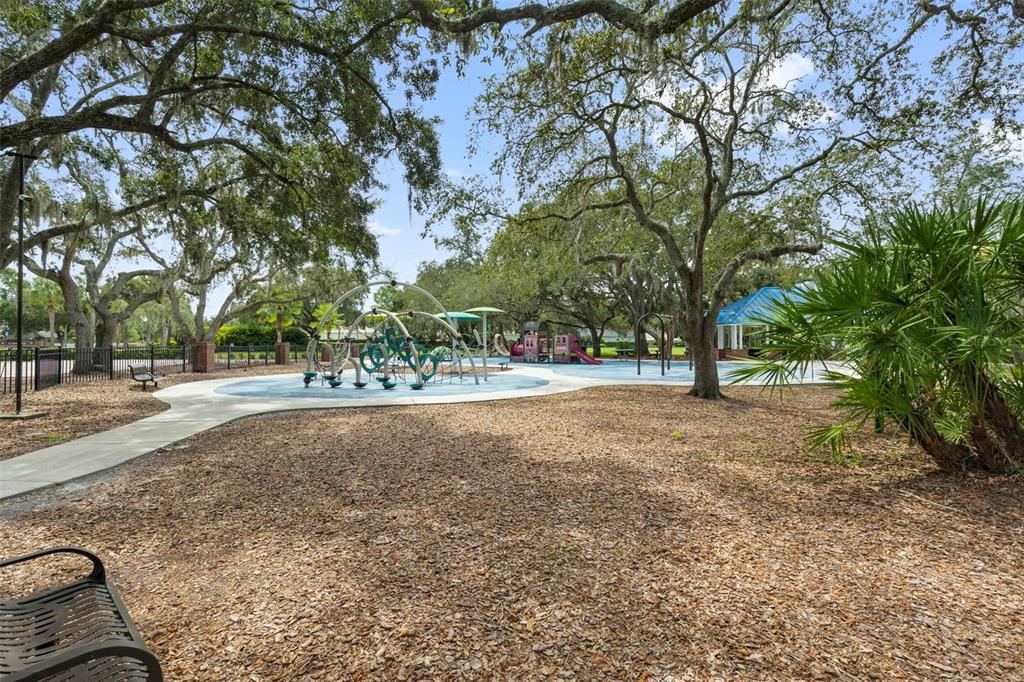 5100 Burchette Road, Unit 2701 Tampa, FL 33647 - Photo 35 of 38 a view of street with trees