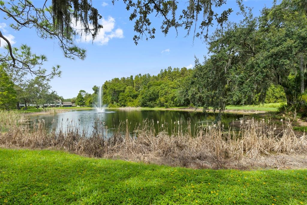 5100 Burchette Road, Unit 2701 Tampa, FL 33647 - Photo 36 of 38 a view of a lake with a yard and large trees