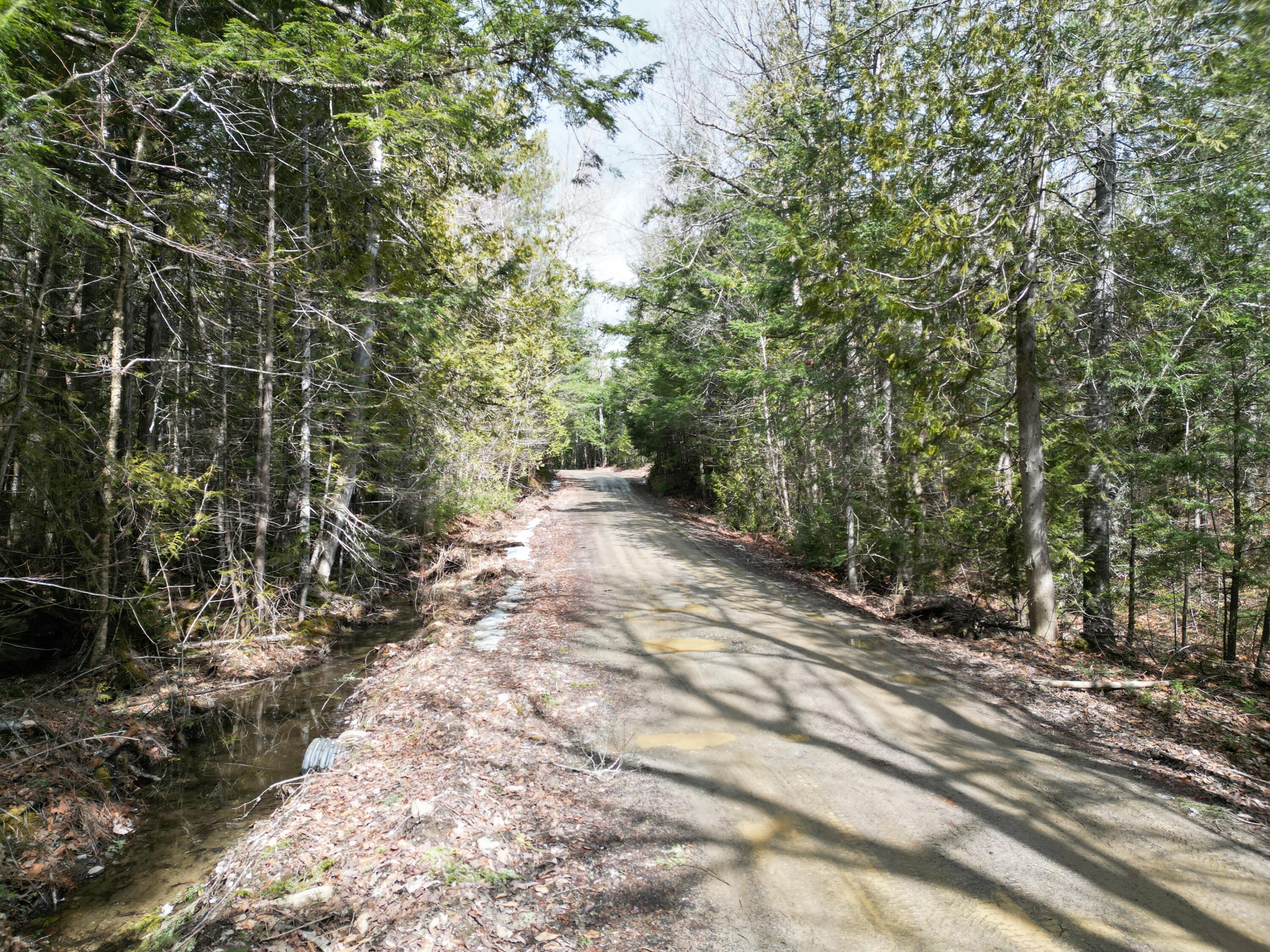 Lot 32 Weir Pond Road Lee, ME 04455 - Photo 1 of 14 DJI_0944