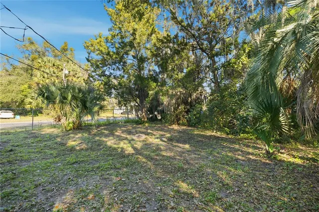 a view of a yard with a tree