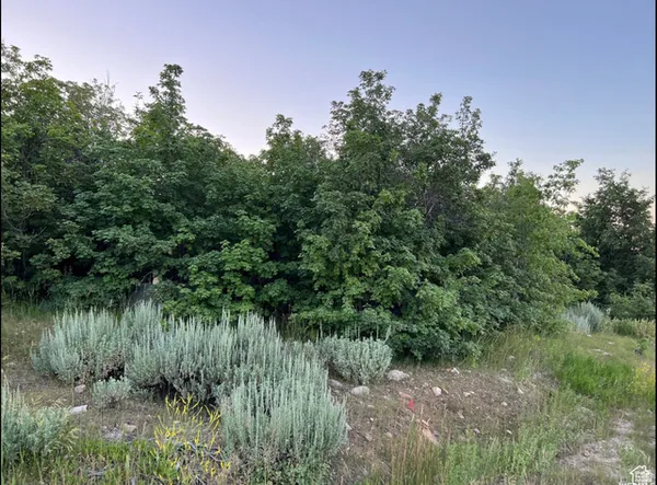 $84,900 | 58 Juniper Drive, Unit 498, Fish Haven, ID 83287