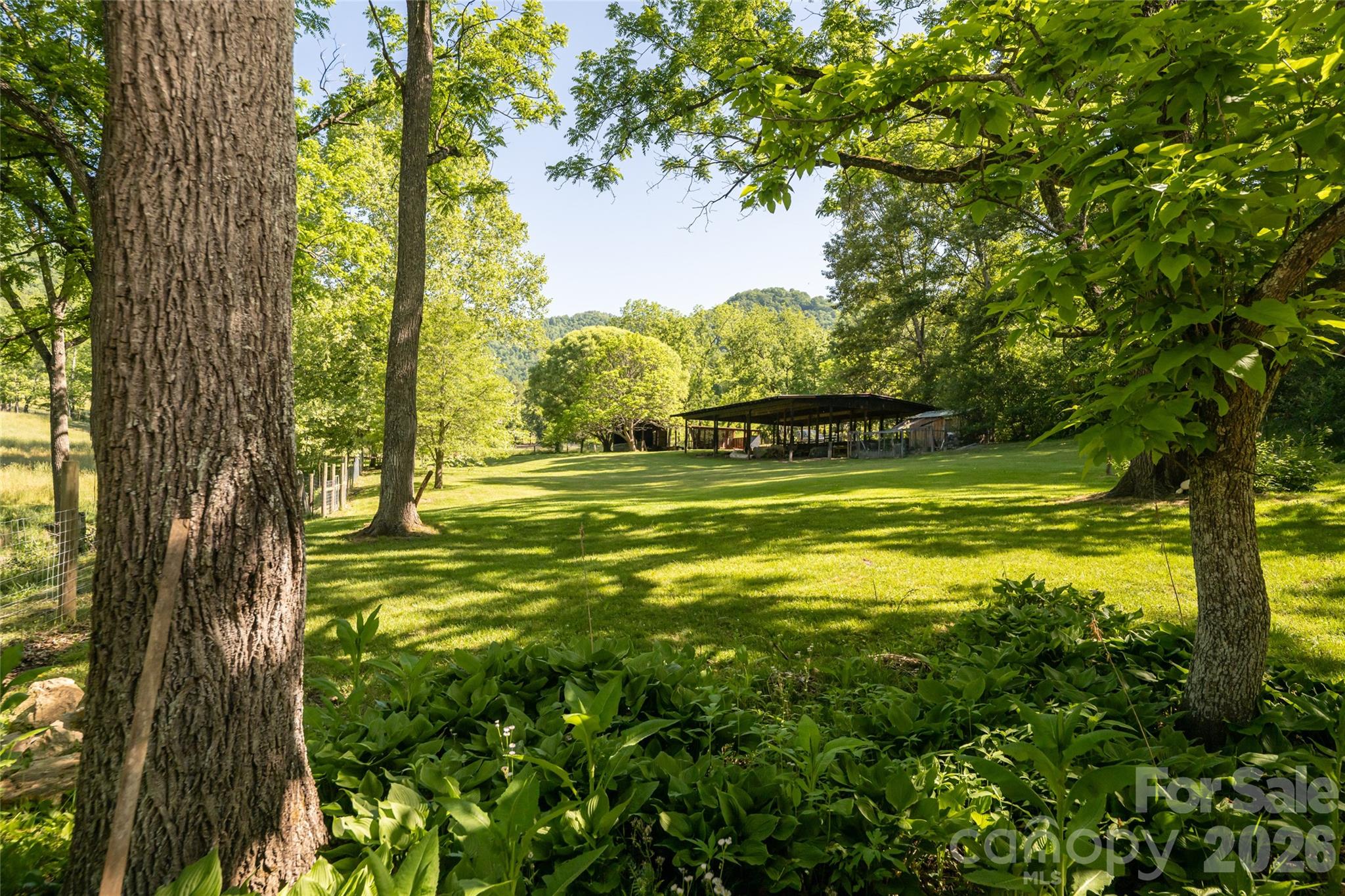 741 Morrow Branch Road Leicester, NC 28748 - Photo 40 of 47