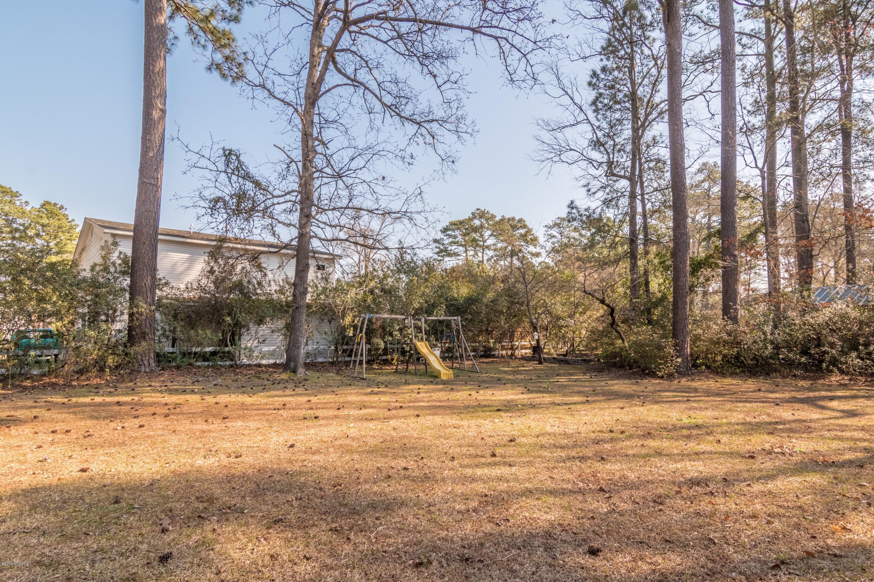 407 Lodge Road Washington, NC 27889 - Photo 22 of 26 021_RearYard