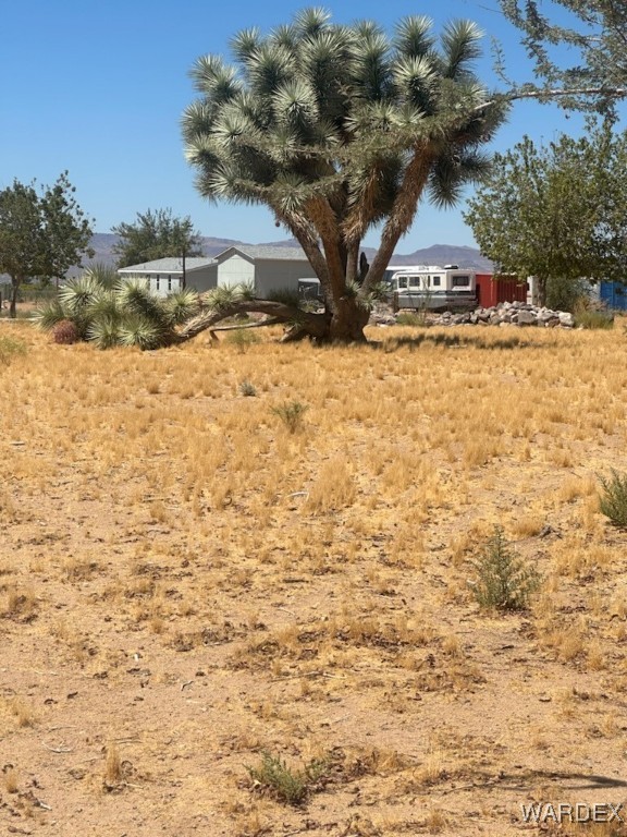 3405 Houck Road Golden Valley, AZ 86413 - Photo 3 of 5 Yard