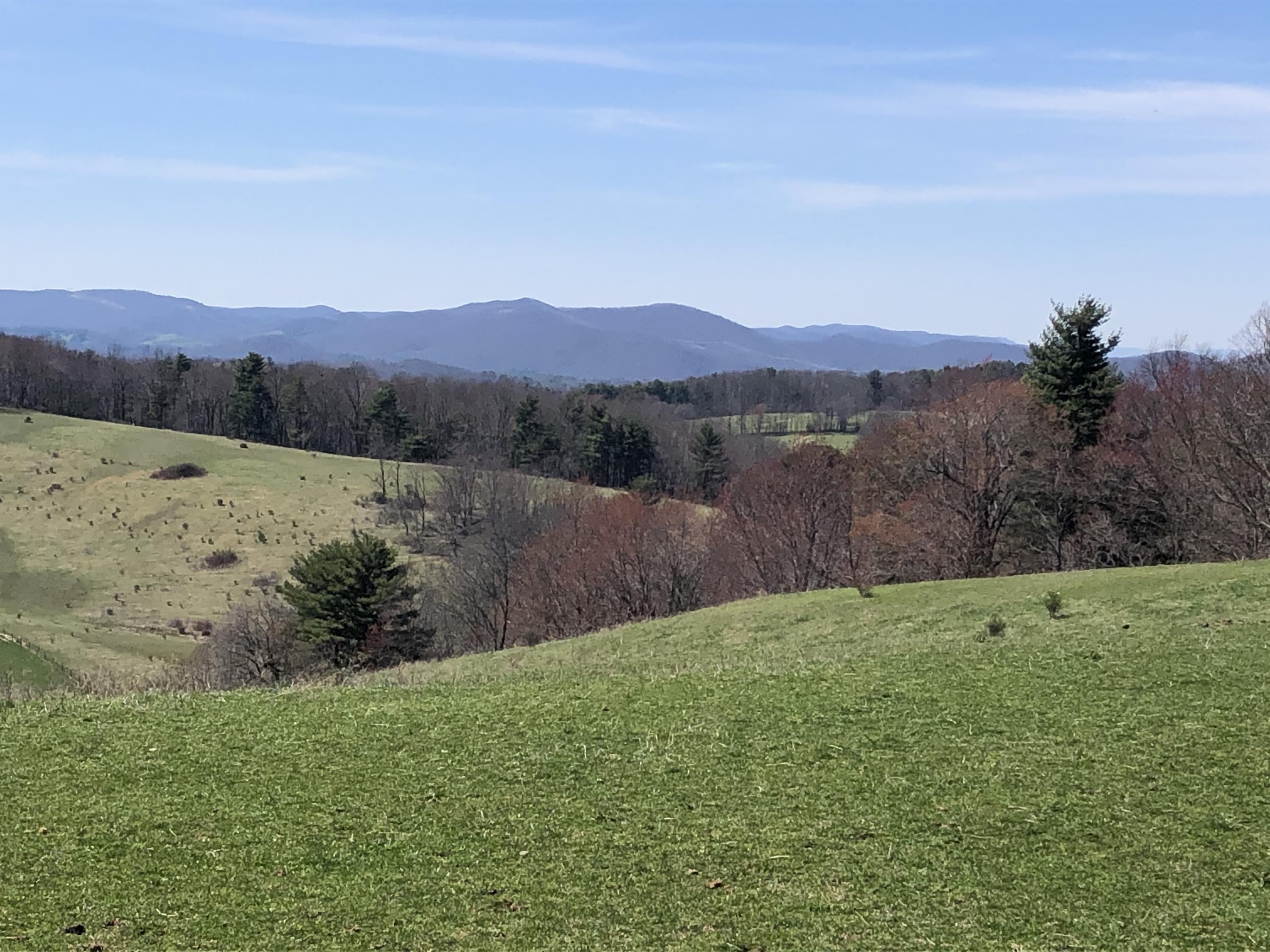 333 Lester Road Northwest Riner, VA 24149 - Photo 1 of 29 View