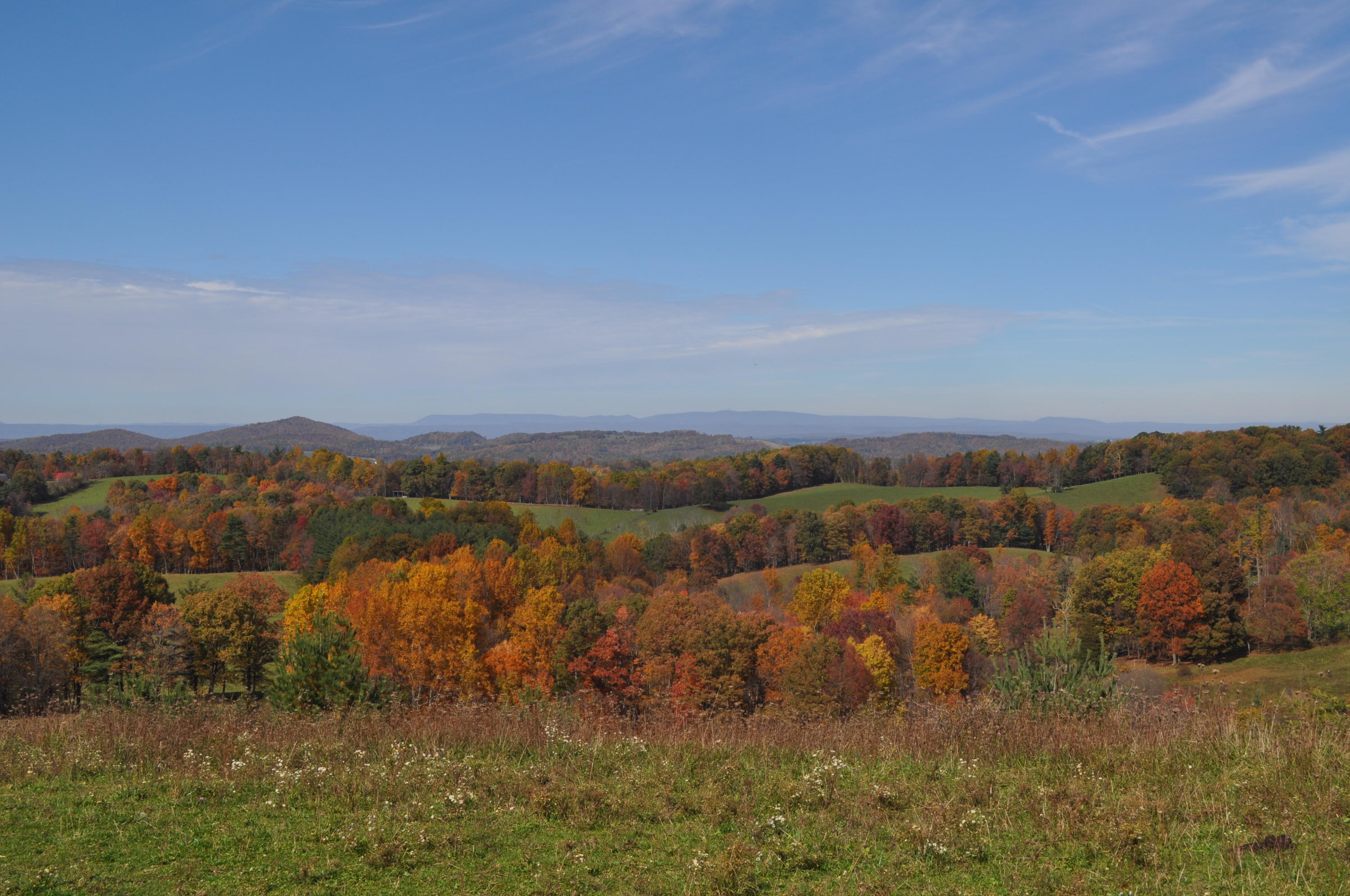333 Lester Road Northwest Riner, VA 24149 - Photo 12 of 29 DSC_0157