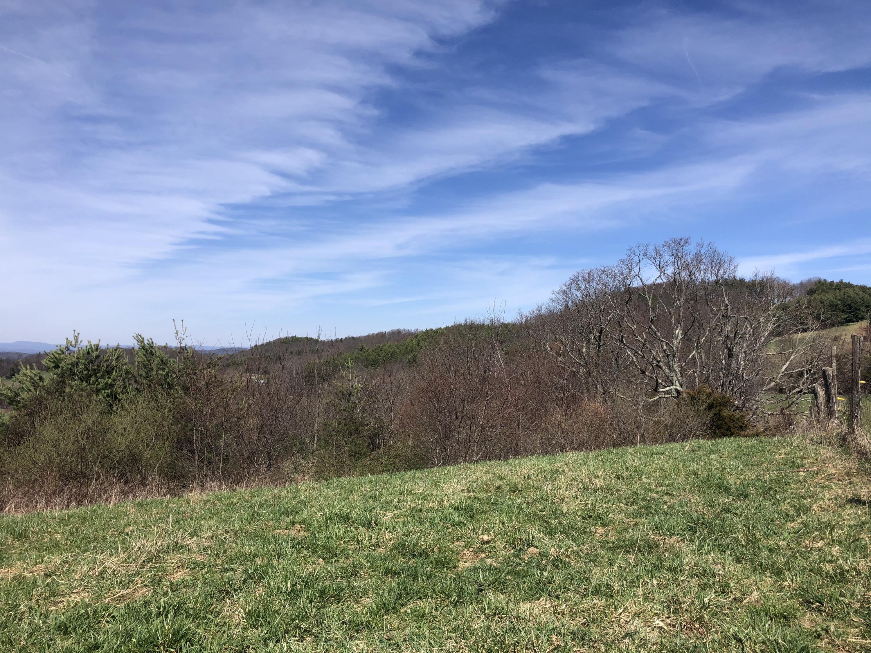 333 Lester Road Northwest Riner, VA 24149 - Photo 16 of 29 IMG_1418