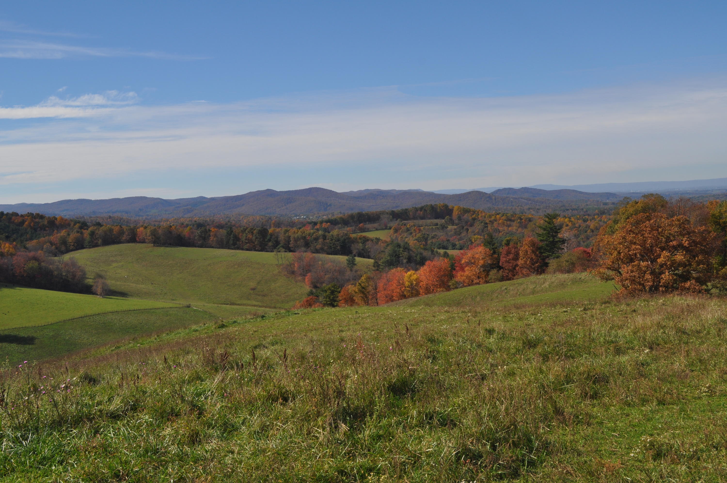 333 Lester Road Northwest Riner, VA 24149 - Photo 7 of 29 DSC_0166